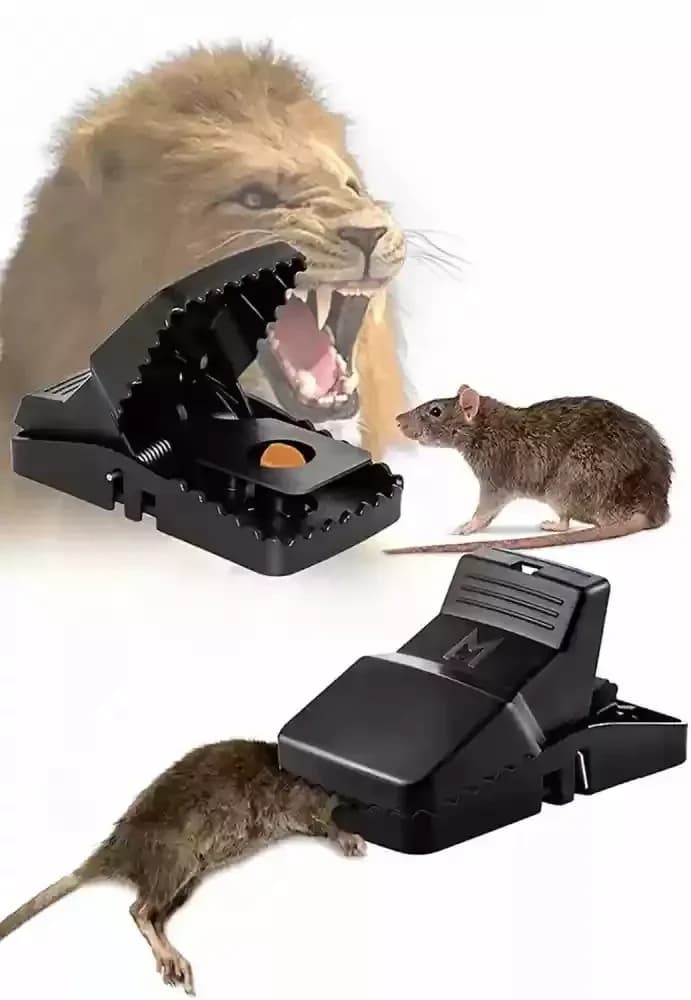 Reusable Mouse Traps, Pack of 3 — product detail view