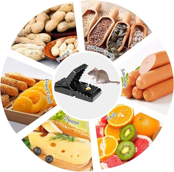 Heavy Duty Reusable Plastic Mouse Trap – Durable & Safe Mouse Catcher for Effective Rodent Control